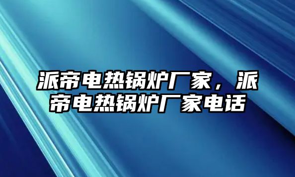 派帝電熱鍋爐廠家，派帝電熱鍋爐廠家電話