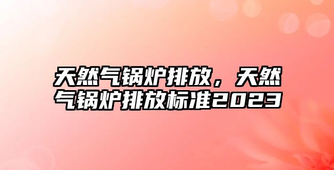 天然氣鍋爐排放，天然氣鍋爐排放標(biāo)準(zhǔn)2023