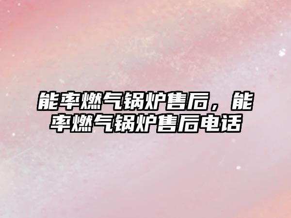 能率燃?xì)忮仩t售后，能率燃?xì)忮仩t售后電話