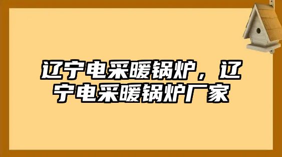 遼寧電采暖鍋爐，遼寧電采暖鍋爐廠家