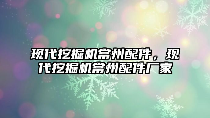 現(xiàn)代挖掘機常州配件，現(xiàn)代挖掘機常州配件廠家