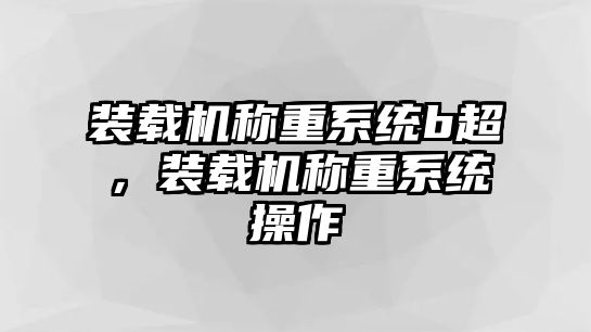 裝載機(jī)稱(chēng)重系統(tǒng)b超，裝載機(jī)稱(chēng)重系統(tǒng)操作