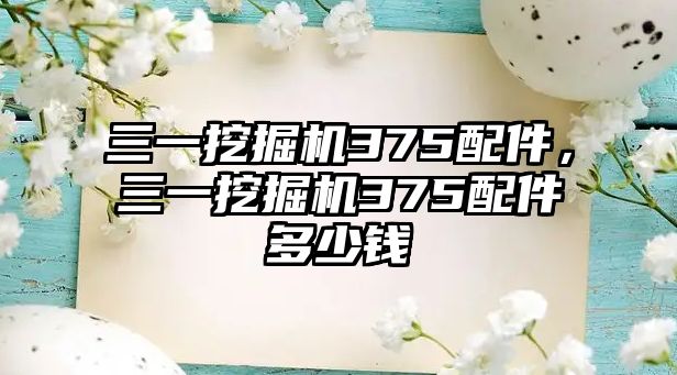 三一挖掘機375配件，三一挖掘機375配件多少錢