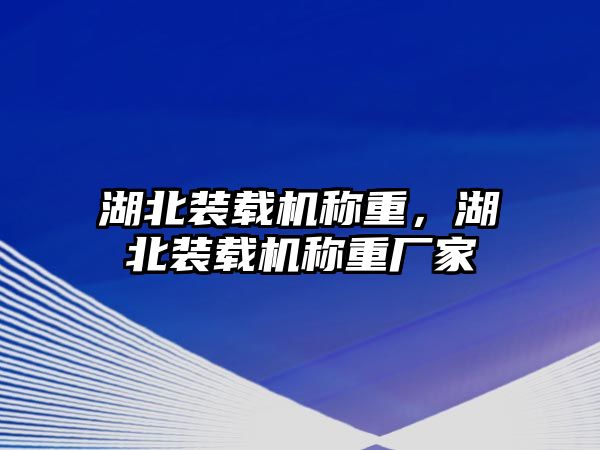 湖北裝載機稱重，湖北裝載機稱重廠家