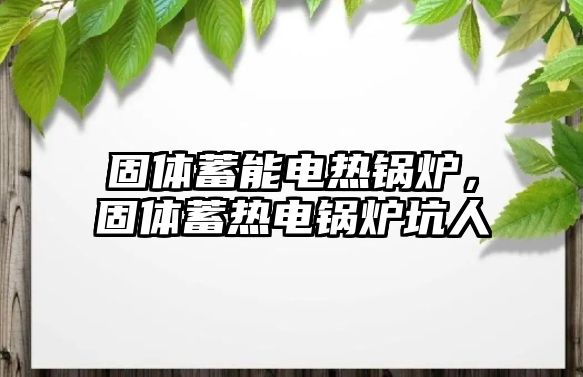 固體蓄能電熱鍋爐，固體蓄熱電鍋爐坑人