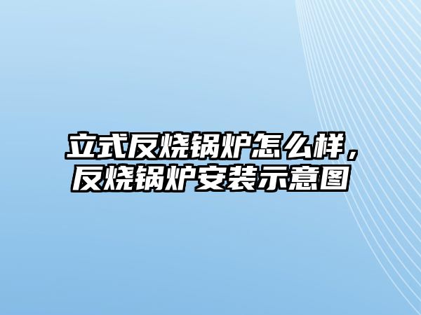 立式反燒鍋爐怎么樣，反燒鍋爐安裝示意圖