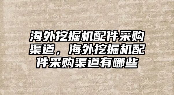 海外挖掘機配件采購渠道，海外挖掘機配件采購渠道有哪些