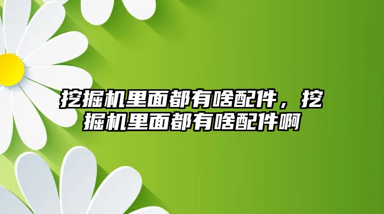 挖掘機(jī)里面都有啥配件，挖掘機(jī)里面都有啥配件啊