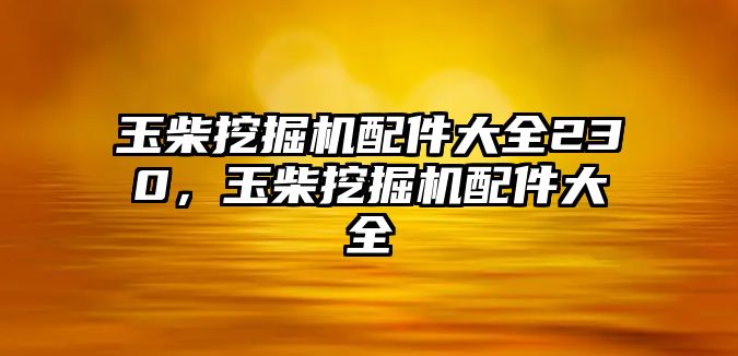 玉柴挖掘機配件大全230，玉柴挖掘機配件大全