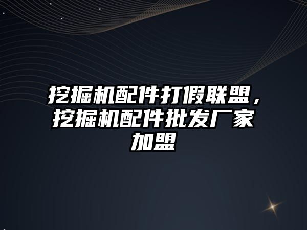 挖掘機配件打假聯(lián)盟，挖掘機配件批發(fā)廠家加盟