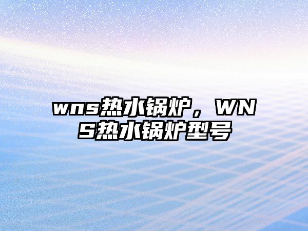 wns熱水鍋爐，WNS熱水鍋爐型號