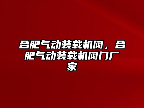 合肥氣動裝載機閥，合肥氣動裝載機閥門廠家