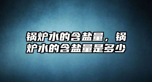 鍋爐水的含鹽量，鍋爐水的含鹽量是多少