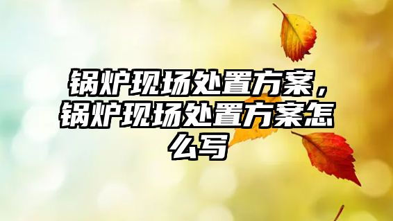 鍋爐現(xiàn)場處置方案，鍋爐現(xiàn)場處置方案怎么寫