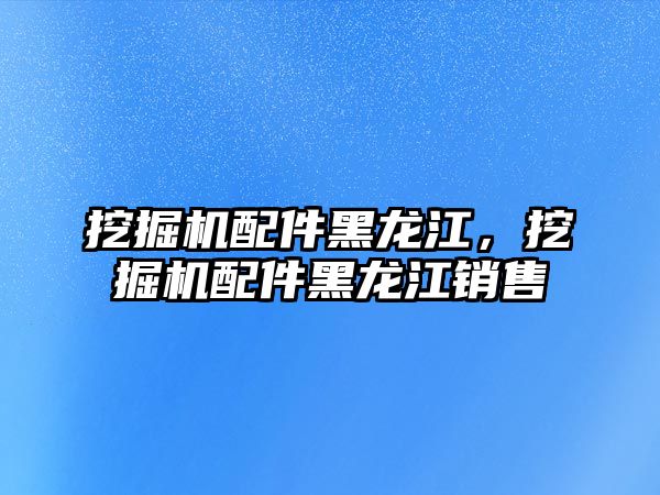 挖掘機配件黑龍江，挖掘機配件黑龍江銷售