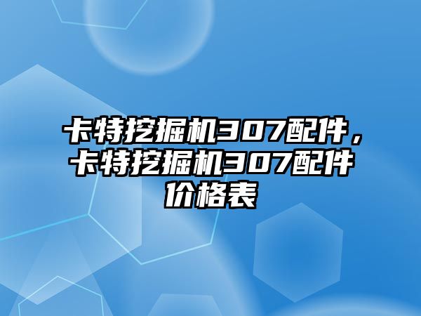 卡特挖掘機(jī)307配件，卡特挖掘機(jī)307配件價(jià)格表