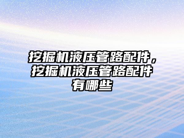 挖掘機液壓管路配件，挖掘機液壓管路配件有哪些