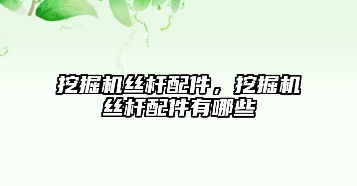 挖掘機絲桿配件，挖掘機絲桿配件有哪些