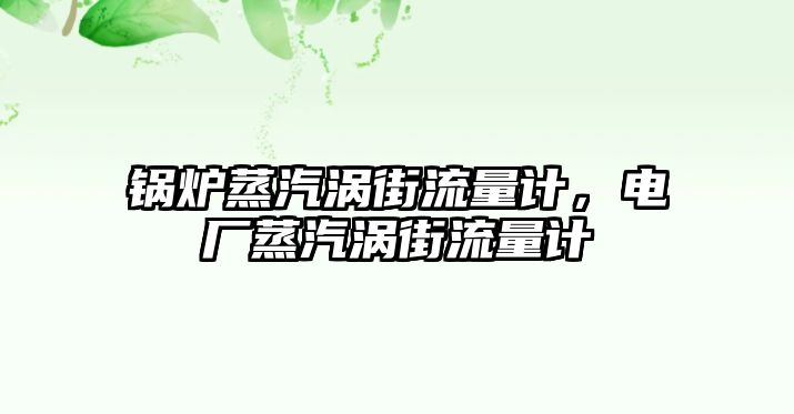 鍋爐蒸汽渦街流量計，電廠蒸汽渦街流量計