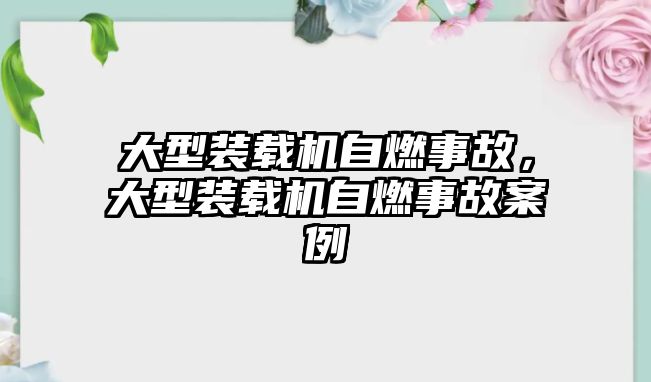 大型裝載機自燃事故，大型裝載機自燃事故案例