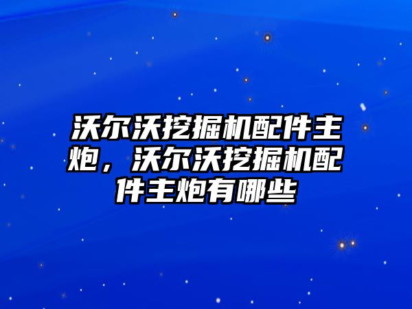 沃爾沃挖掘機(jī)配件主炮，沃爾沃挖掘機(jī)配件主炮有哪些