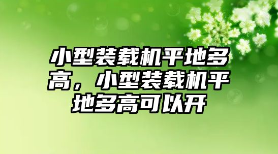 小型裝載機平地多高，小型裝載機平地多高可以開