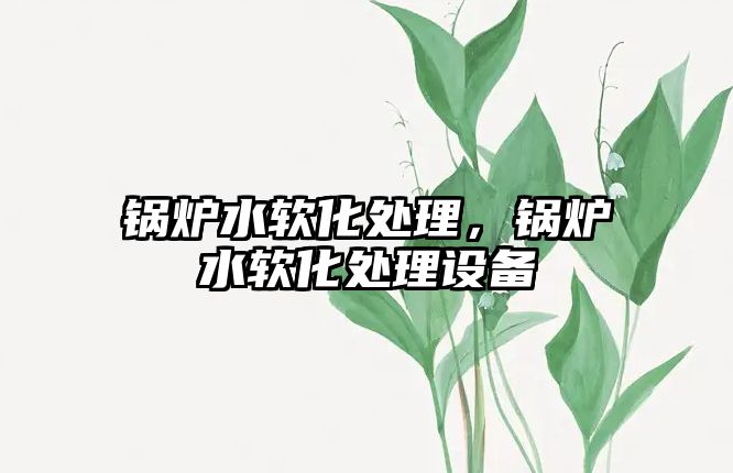 鍋爐水軟化處理，鍋爐水軟化處理設(shè)備