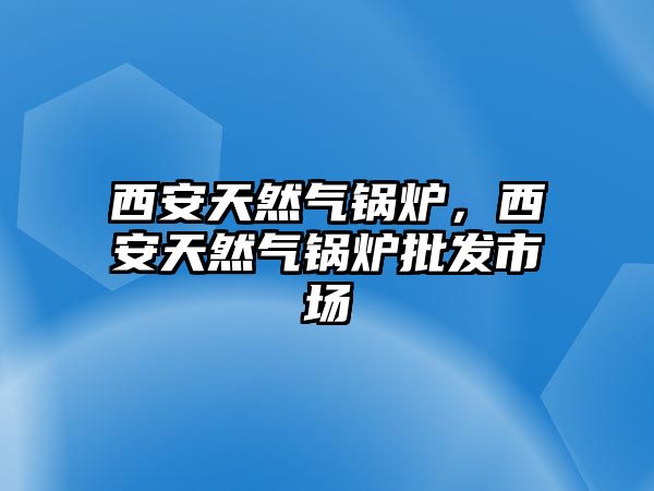 西安天然氣鍋爐，西安天然氣鍋爐批發(fā)市場(chǎng)