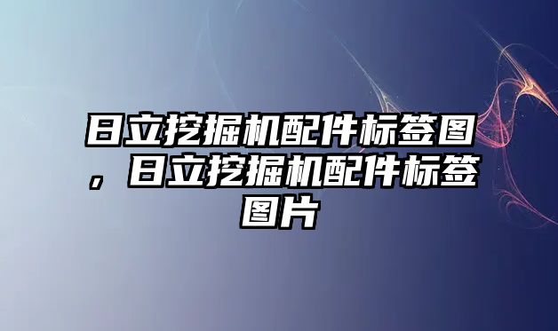 日立挖掘機配件標簽圖，日立挖掘機配件標簽圖片