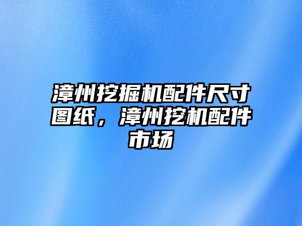 漳州挖掘機配件尺寸圖紙，漳州挖機配件市場