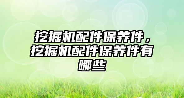 挖掘機配件保養(yǎng)件，挖掘機配件保養(yǎng)件有哪些