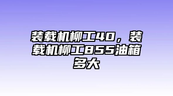 裝載機(jī)柳工40，裝載機(jī)柳工855油箱多大