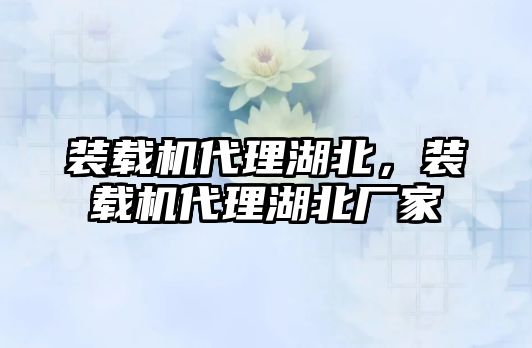 裝載機(jī)代理湖北，裝載機(jī)代理湖北廠家