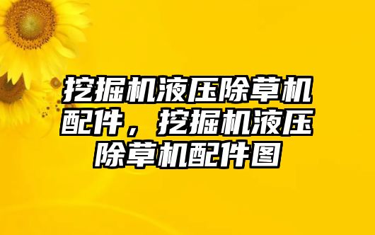 挖掘機液壓除草機配件，挖掘機液壓除草機配件圖