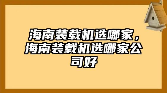 海南裝載機選哪家，海南裝載機選哪家公司好