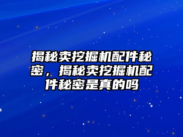 揭秘賣挖掘機配件秘密，揭秘賣挖掘機配件秘密是真的嗎