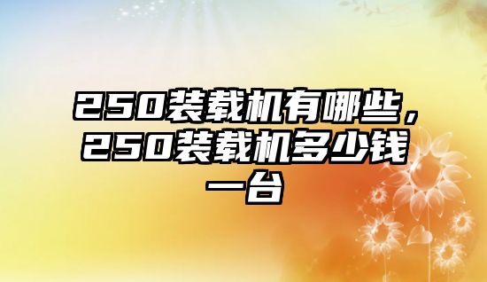 250裝載機(jī)有哪些，250裝載機(jī)多少錢(qián)一臺(tái)