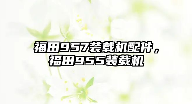 福田957裝載機(jī)配件，福田955裝載機(jī)