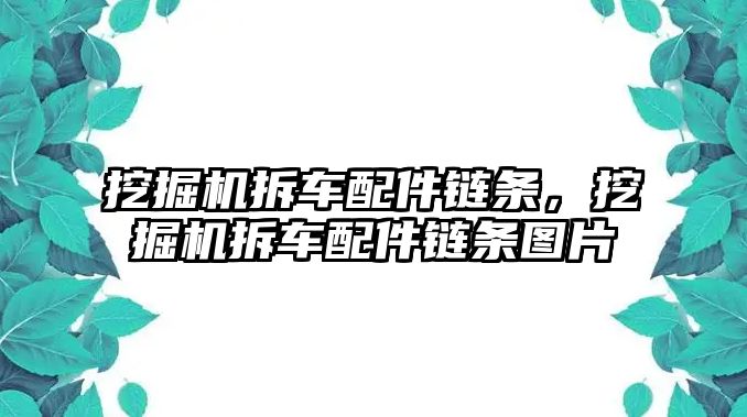 挖掘機拆車配件鏈條，挖掘機拆車配件鏈條圖片