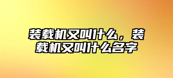 裝載機又叫什么，裝載機又叫什么名字