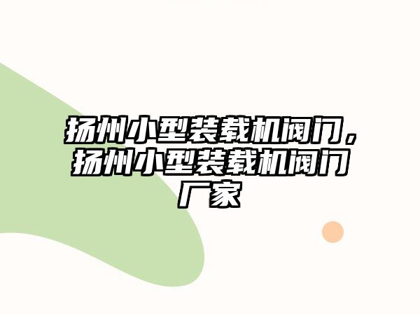 揚州小型裝載機閥門，揚州小型裝載機閥門廠家