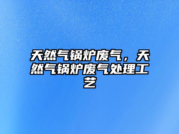 天然氣鍋爐廢氣，天然氣鍋爐廢氣處理工藝