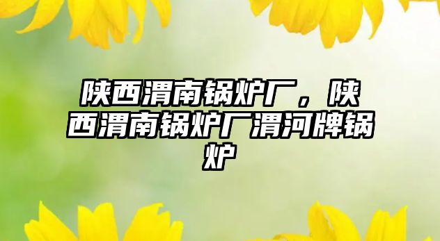 陜西渭南鍋爐廠，陜西渭南鍋爐廠渭河牌鍋爐