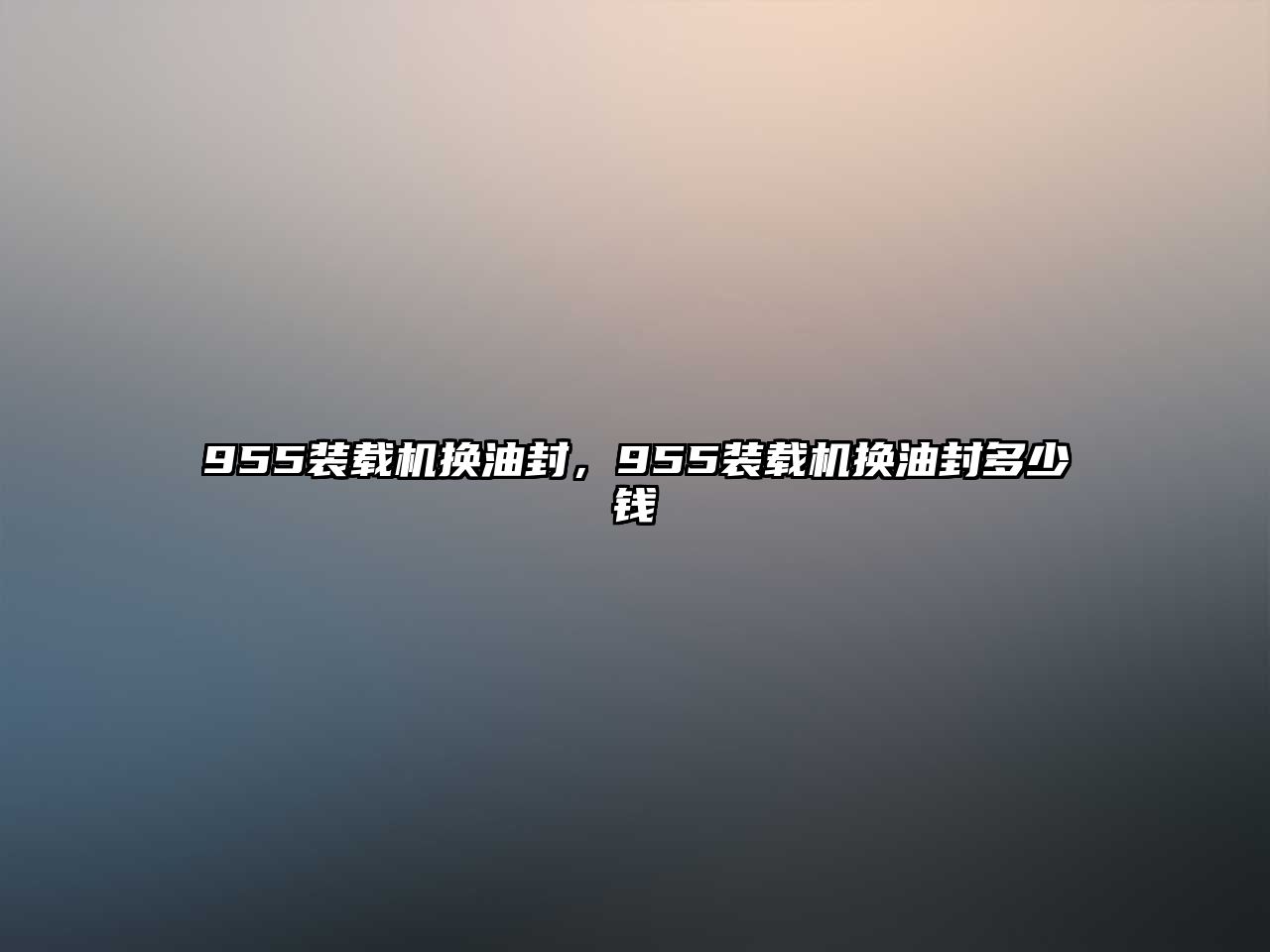 955裝載機(jī)換油封，955裝載機(jī)換油封多少錢