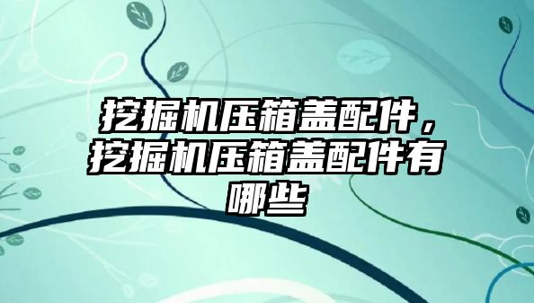 挖掘機壓箱蓋配件，挖掘機壓箱蓋配件有哪些