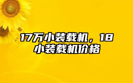 17萬小裝載機，18小裝載機價格