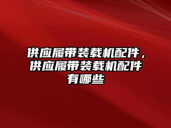 供應(yīng)履帶裝載機(jī)配件，供應(yīng)履帶裝載機(jī)配件有哪些