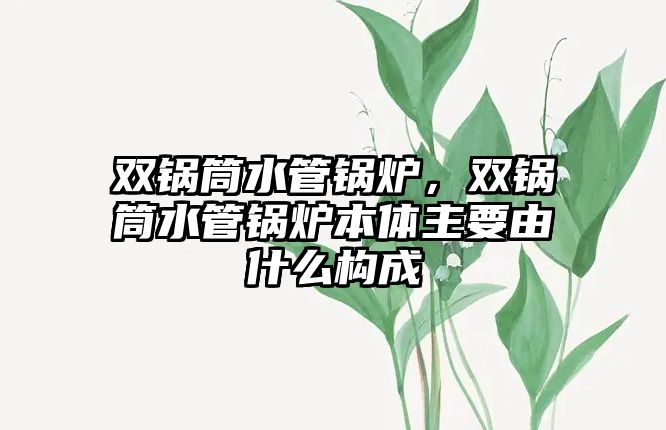 雙鍋筒水管鍋爐，雙鍋筒水管鍋爐本體主要由什么構(gòu)成