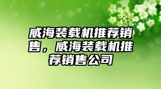 威海裝載機(jī)推薦銷售，威海裝載機(jī)推薦銷售公司