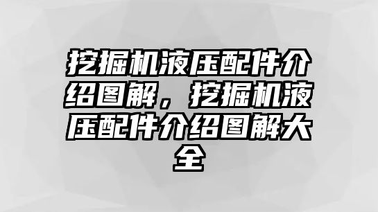 挖掘機液壓配件介紹圖解，挖掘機液壓配件介紹圖解大全